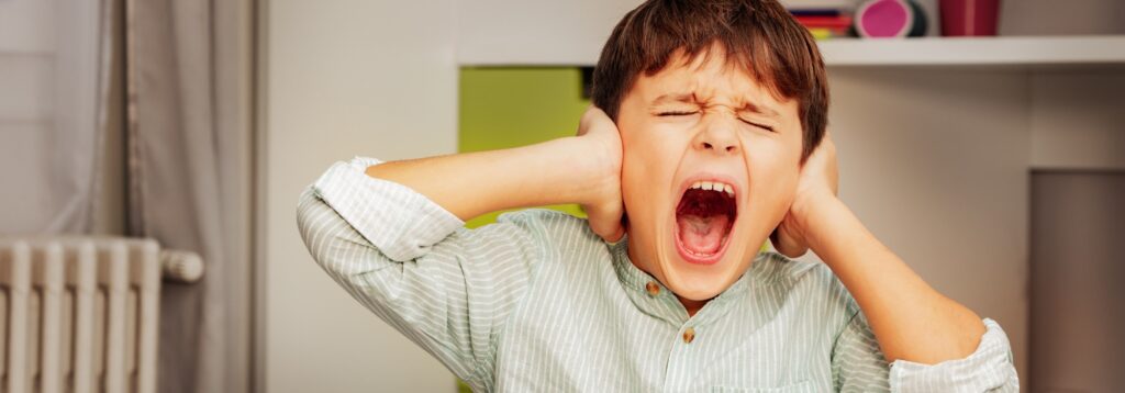 Conductas desafiantes